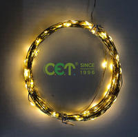 Copper Wire Light String Lights